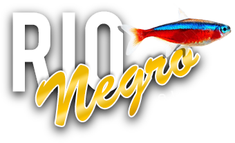 Rio Negro e.V.